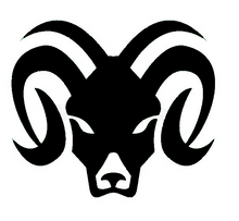Load image into Gallery viewer, ARIES
